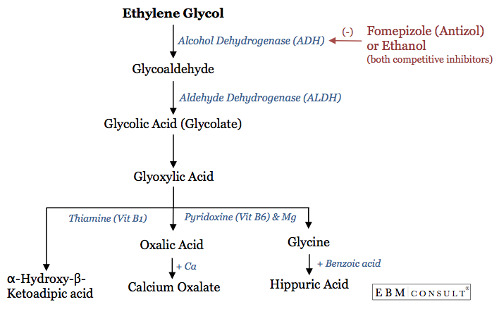 Ethylene glycol metabolism to Glyoxylic acid and Oxalic acid Image