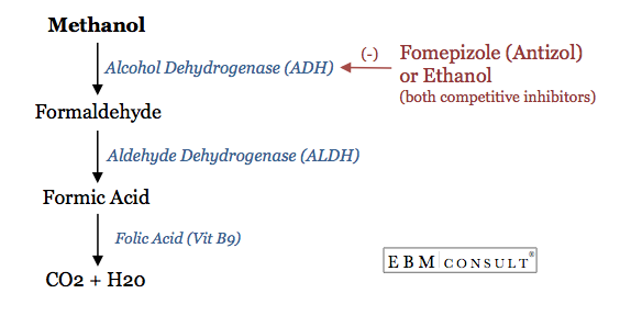 Methanol Metabolism to Formic Acid Image