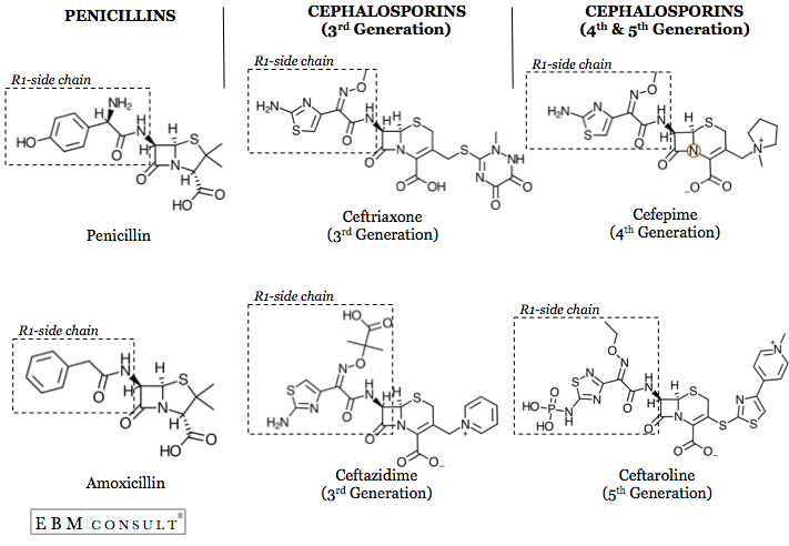 Penicillin vs 3rd and 4th Generation Cephalosporin Antibiotic Image