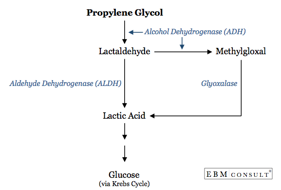 Propylene Glycol Metabolic Pathway to Form Lactic Acid