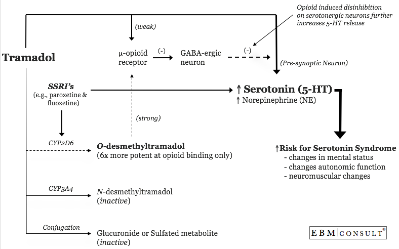 view the geometrical lectures