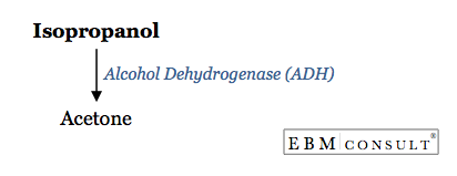 Isopropanol Metabolism to Acetone Image