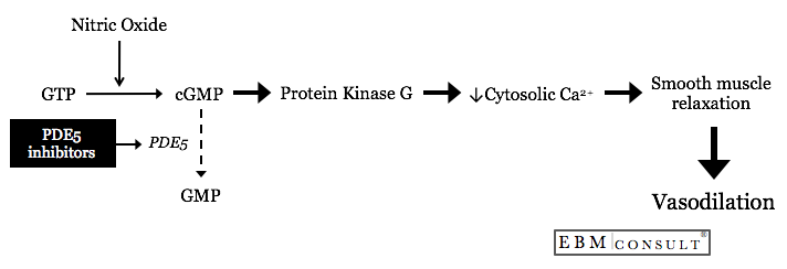 Nitroglycerine and Type 5 Phosphodiesterase Inhibitor Drug Interaction and Hypotension