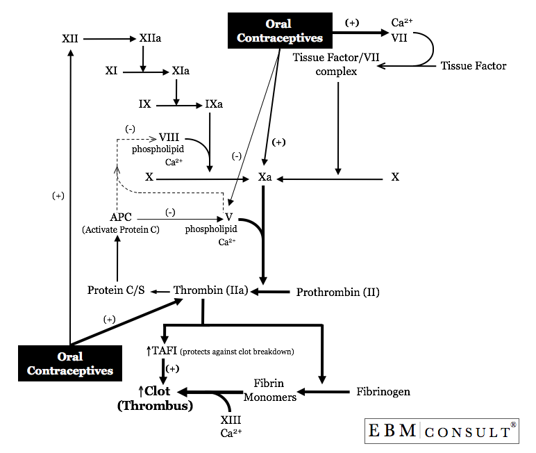 Second Generation Oral Contraceptives 14