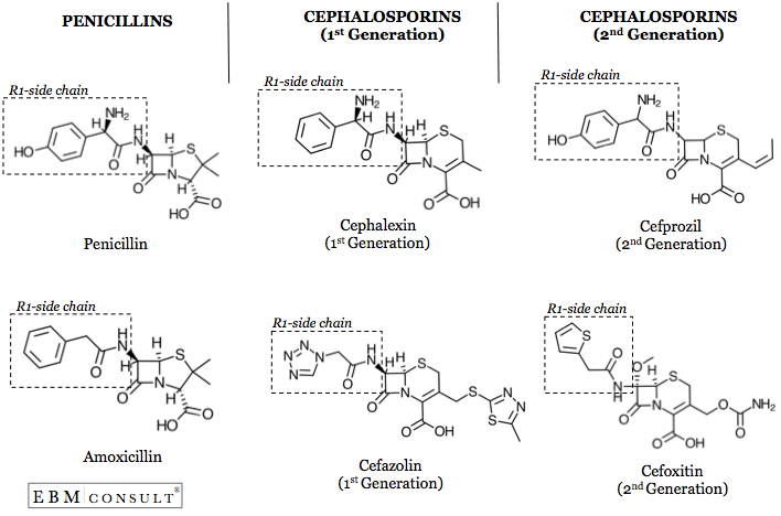 Penicillin vs 1st and 2nd Generation Cephalosporin Antibiotics