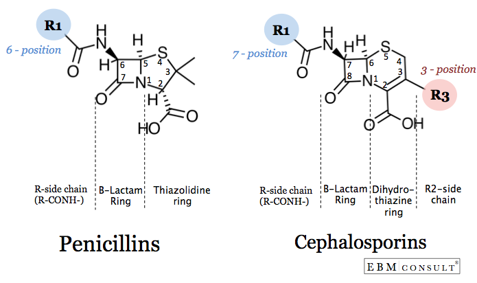 Penicillin%20vs%20Cephalosporin%20Cross-Reactivity%20Structure%20Image.png#s-695,412