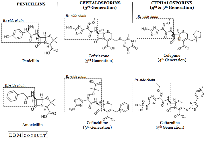 Cephalosporin Side Chain Chart