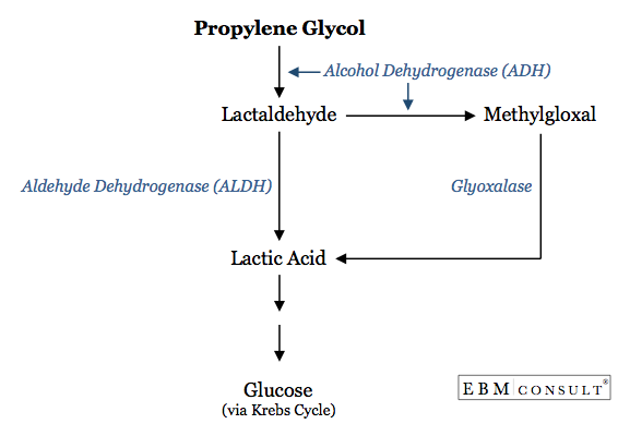 Metabolic Pathway of Propylene Glycol