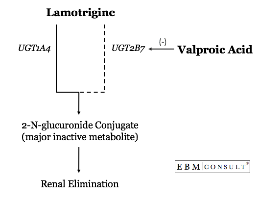 Valproic Acid and Lamotrigine Drug Interaction